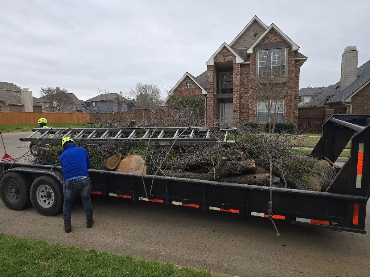 Expert Tree Removal with proper safety equipment in Crum Lynne
